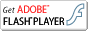 Scarica Flash Player